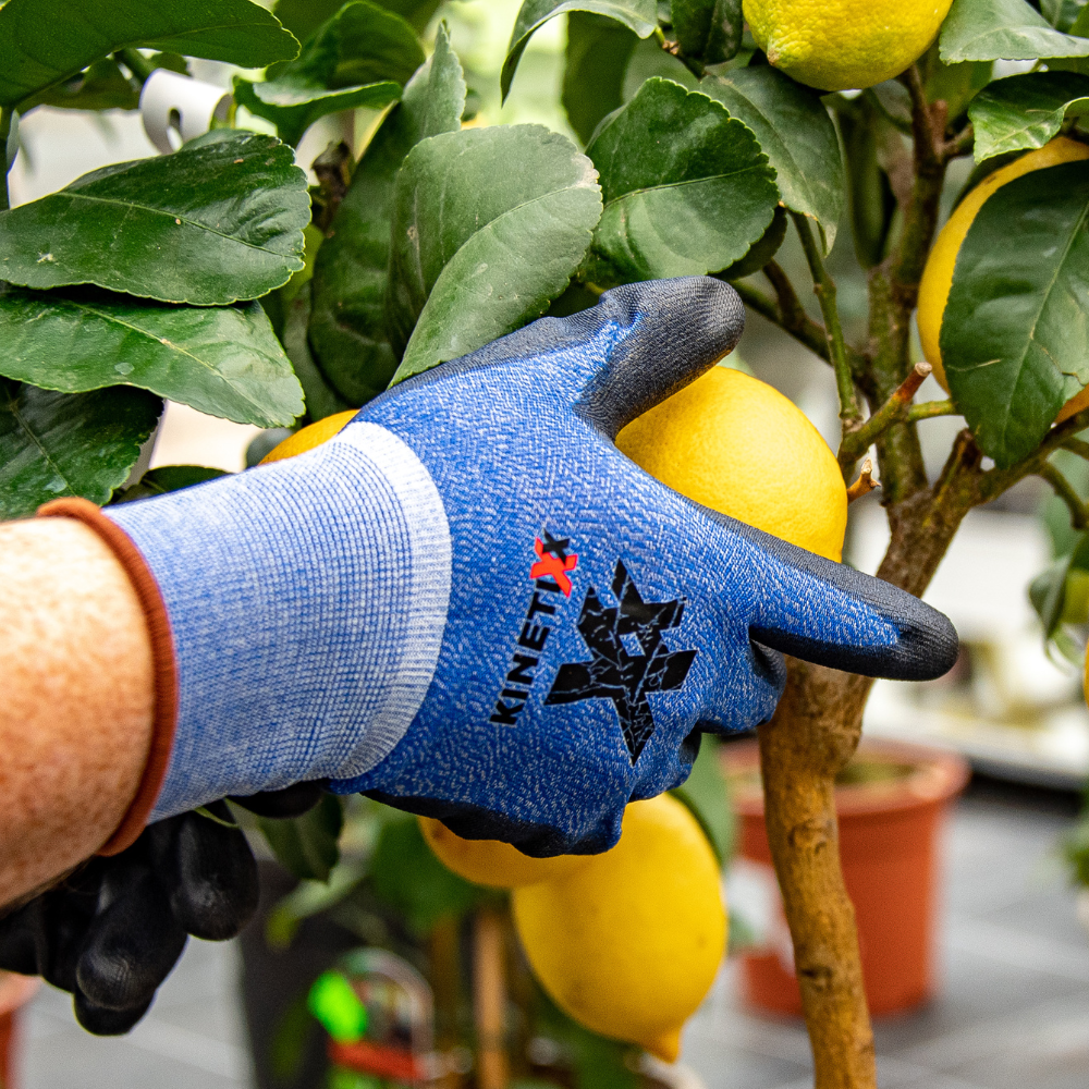Kinetixx Touchscreen-fähige Arbeitshandschuhe X-Garden Fabrikverkauf