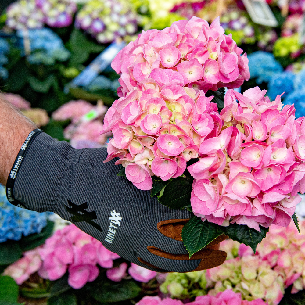 Kinetixx Spezielle Garten-Arbeitshandschuhe X-Planter Meist gekauft