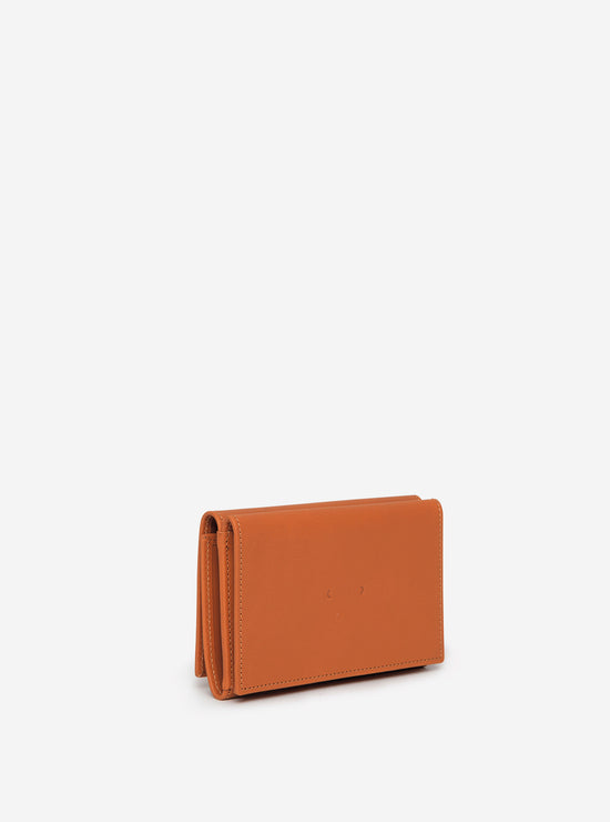 PB 0110 CM 34 Braun Discount Store für neue Produkte