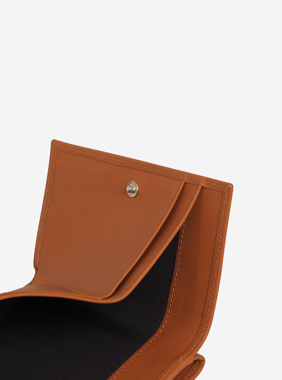 PB 0110 CM 34 Braun Discount Store für neue Produkte